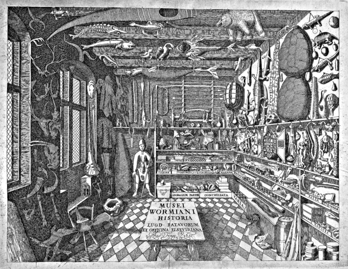Wunderkammer, Ole Worm, journal of wild culture ©.jpg