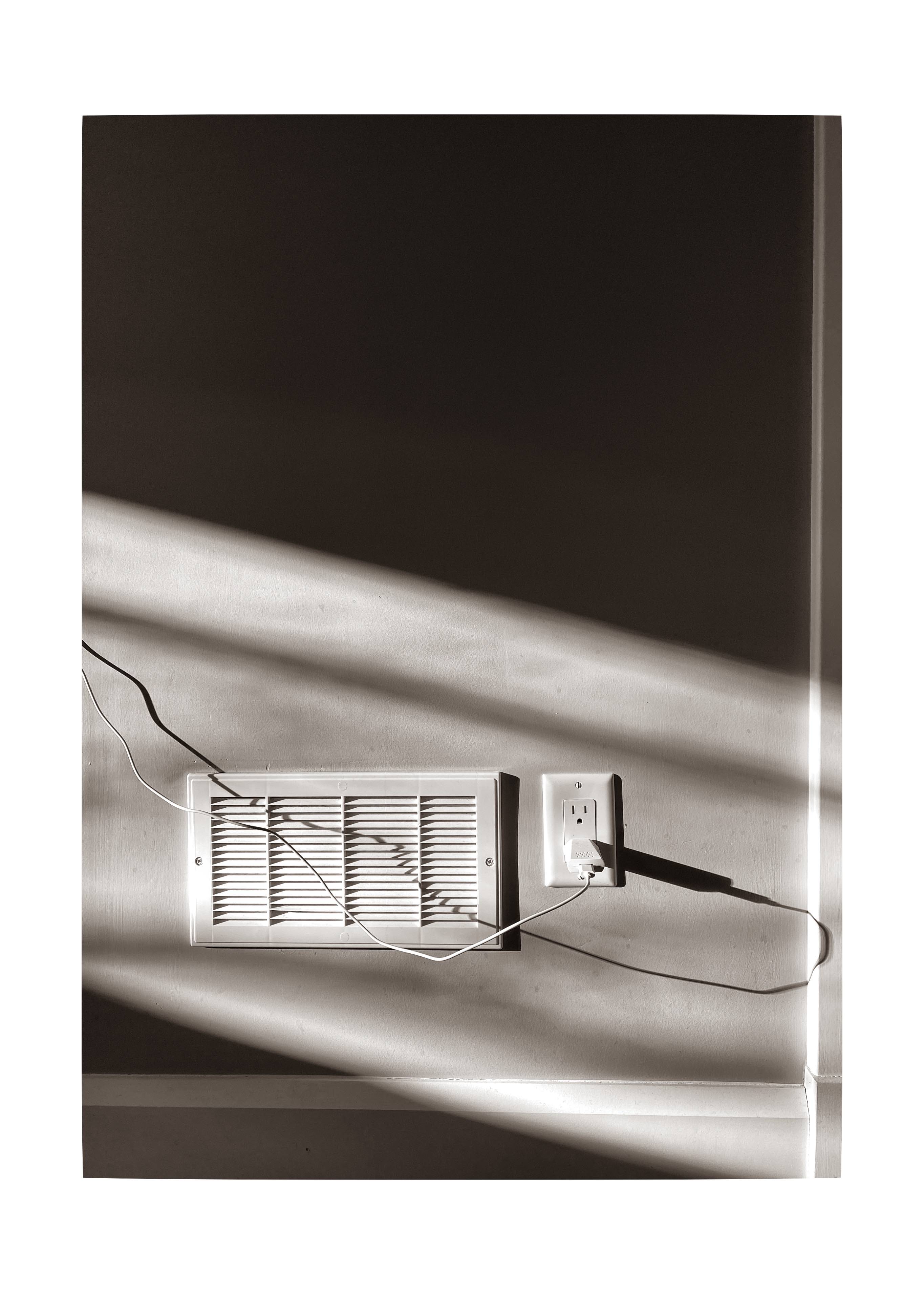 Terry Bell photographs, journal of wild culture, ©2020