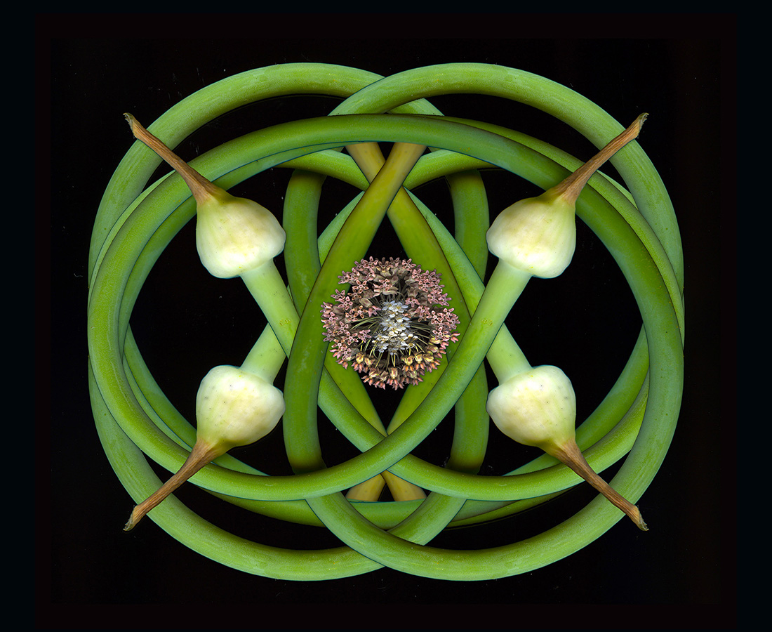 ScapeS_Rick Simon, journal of wild culture ©2021