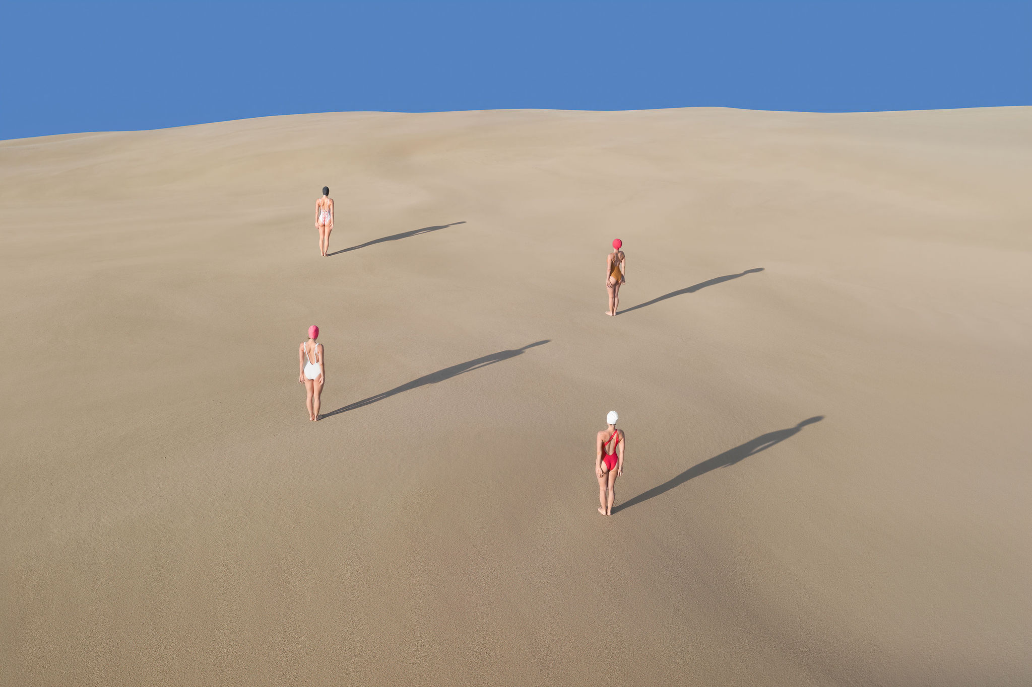 Dissonance, by Brad Walls, journal of wild culture ©2021