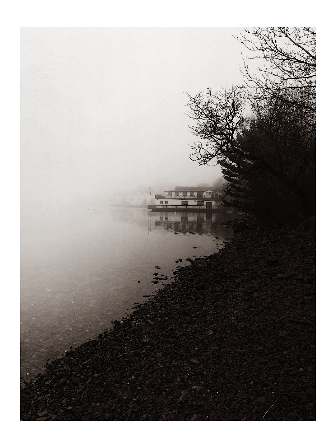 Terry Bell photographs, journal of wild culture, ©2020