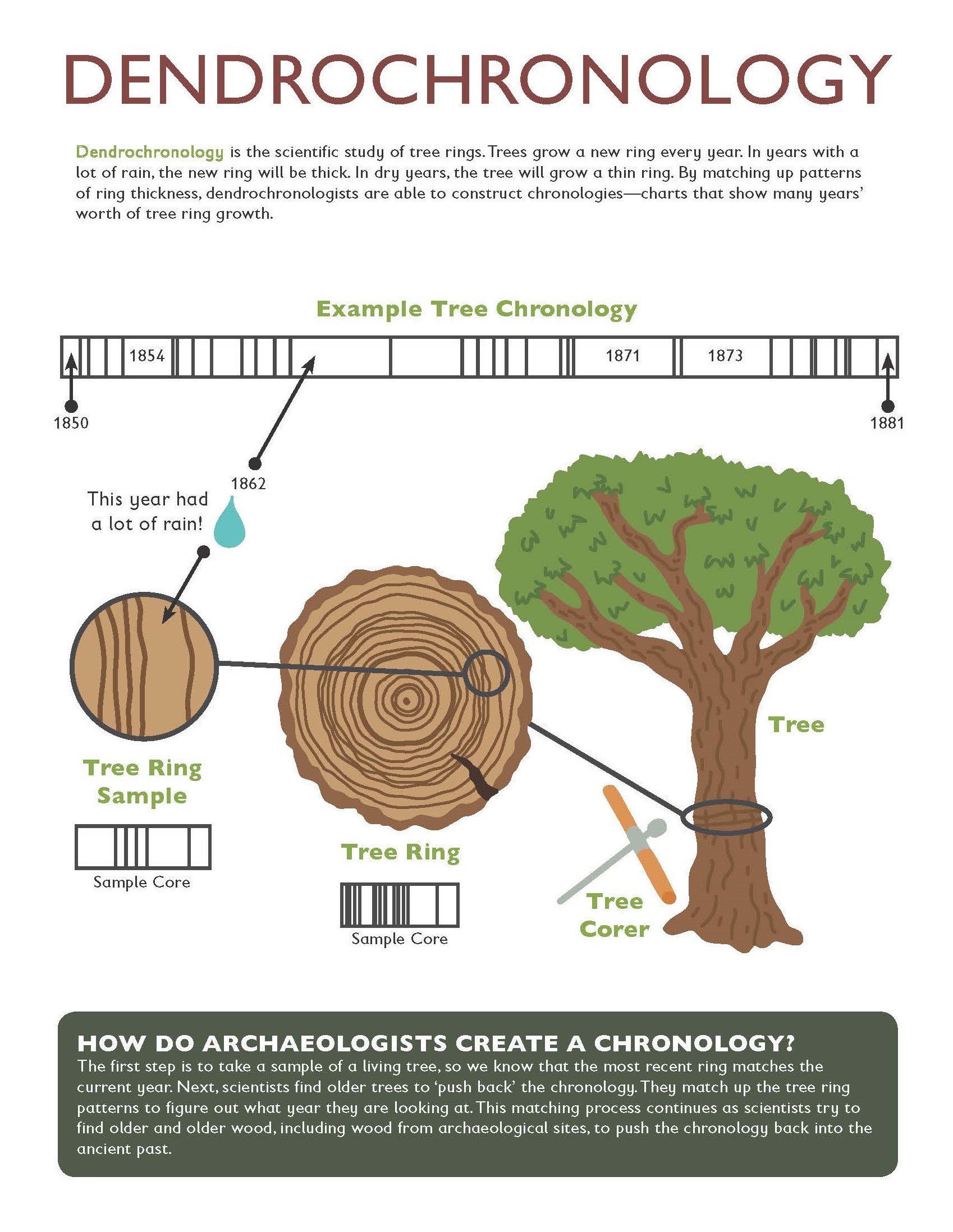 Dendrochronology, journal of wild culture, ©2020
