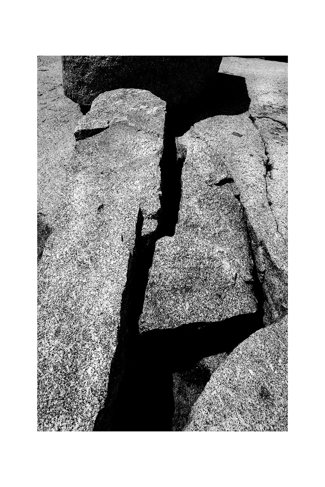 Terry Bell photographs, journal of wild culture, ©2020