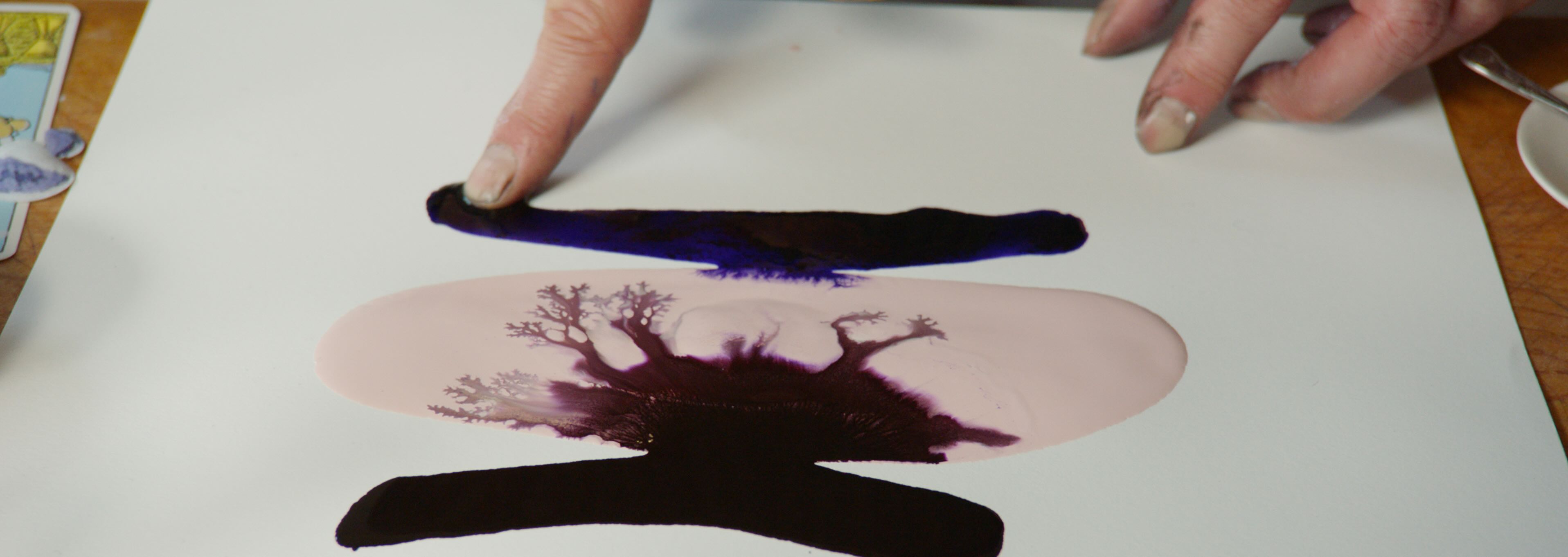 Foraginf for Colour_journal of wild culture