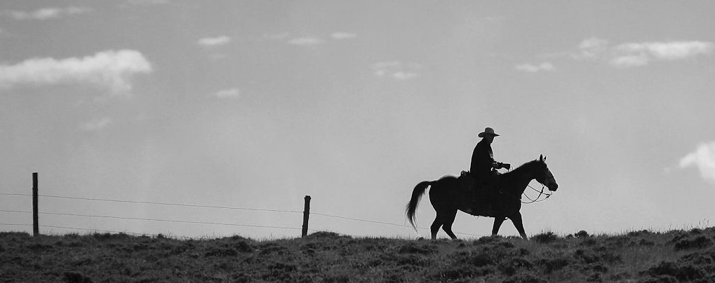 Cowboy in landscape