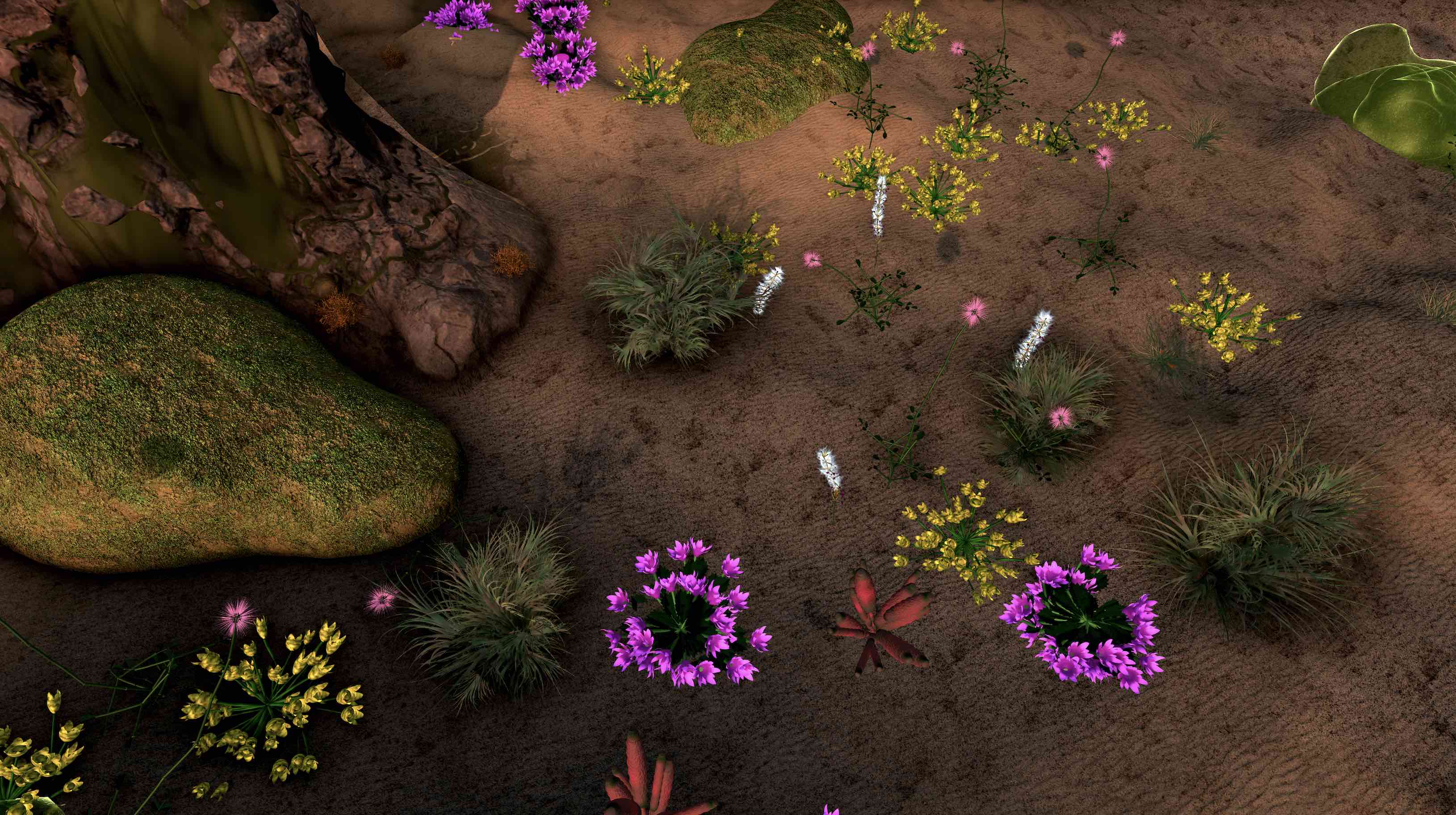 Flowering plants, Wilding of Mars, journal of wild culture, ©2019\