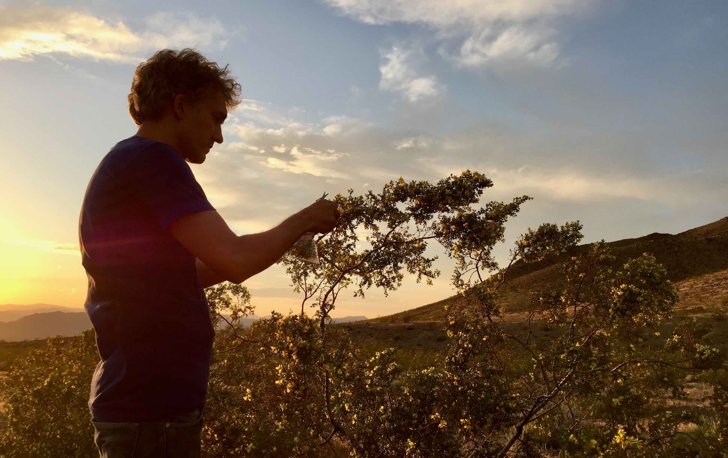 Inkmaker Jason Logan foraging_journal of wild culture