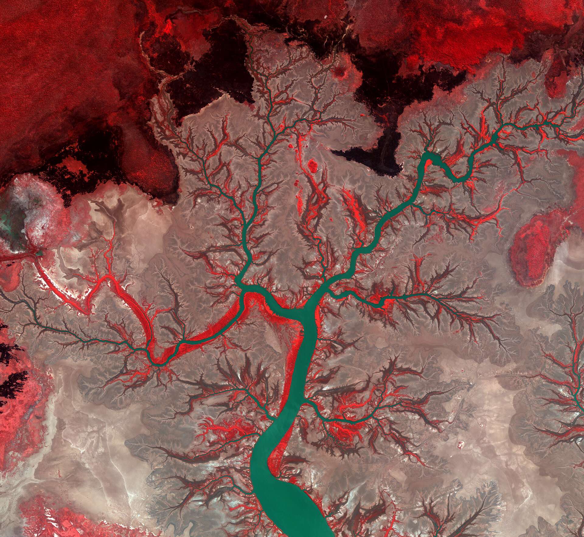 Kumbunbur_Creek_Australia from space, journal of wild culture ©2021