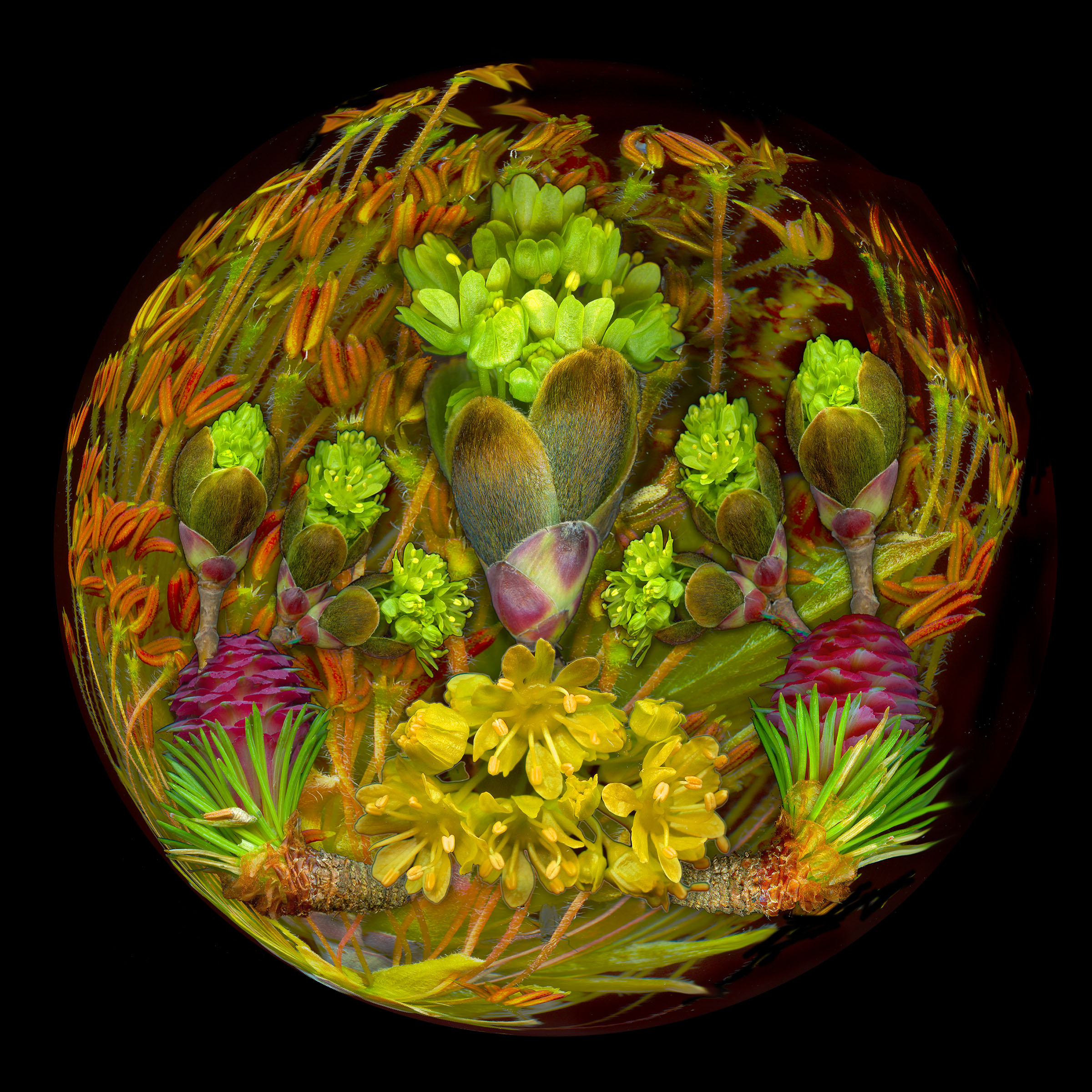 Rick Simon, Larch&Sphere