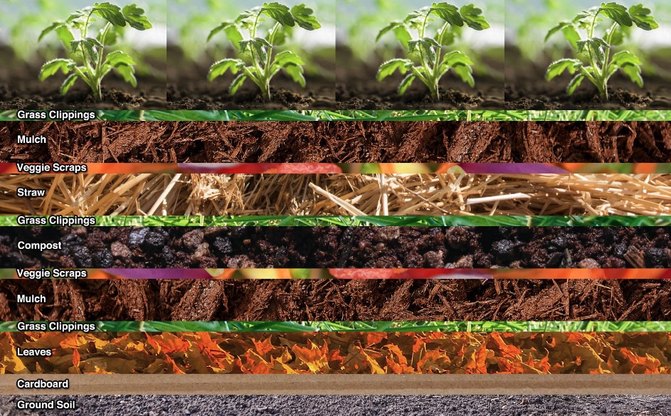 Lasagna garden, journal of wild culture