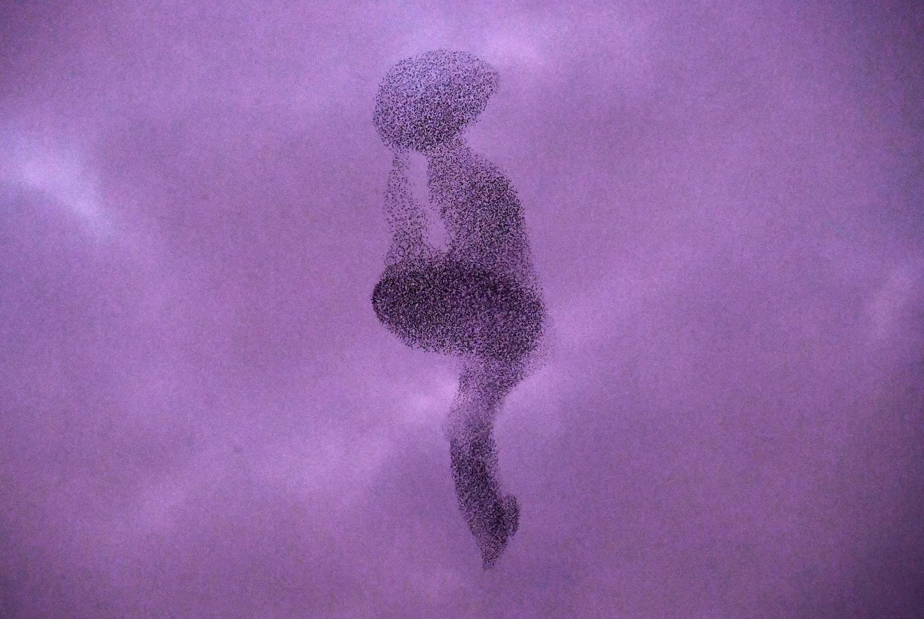 Murmurations, Rome, journal of wild culture ©2022.jpg
