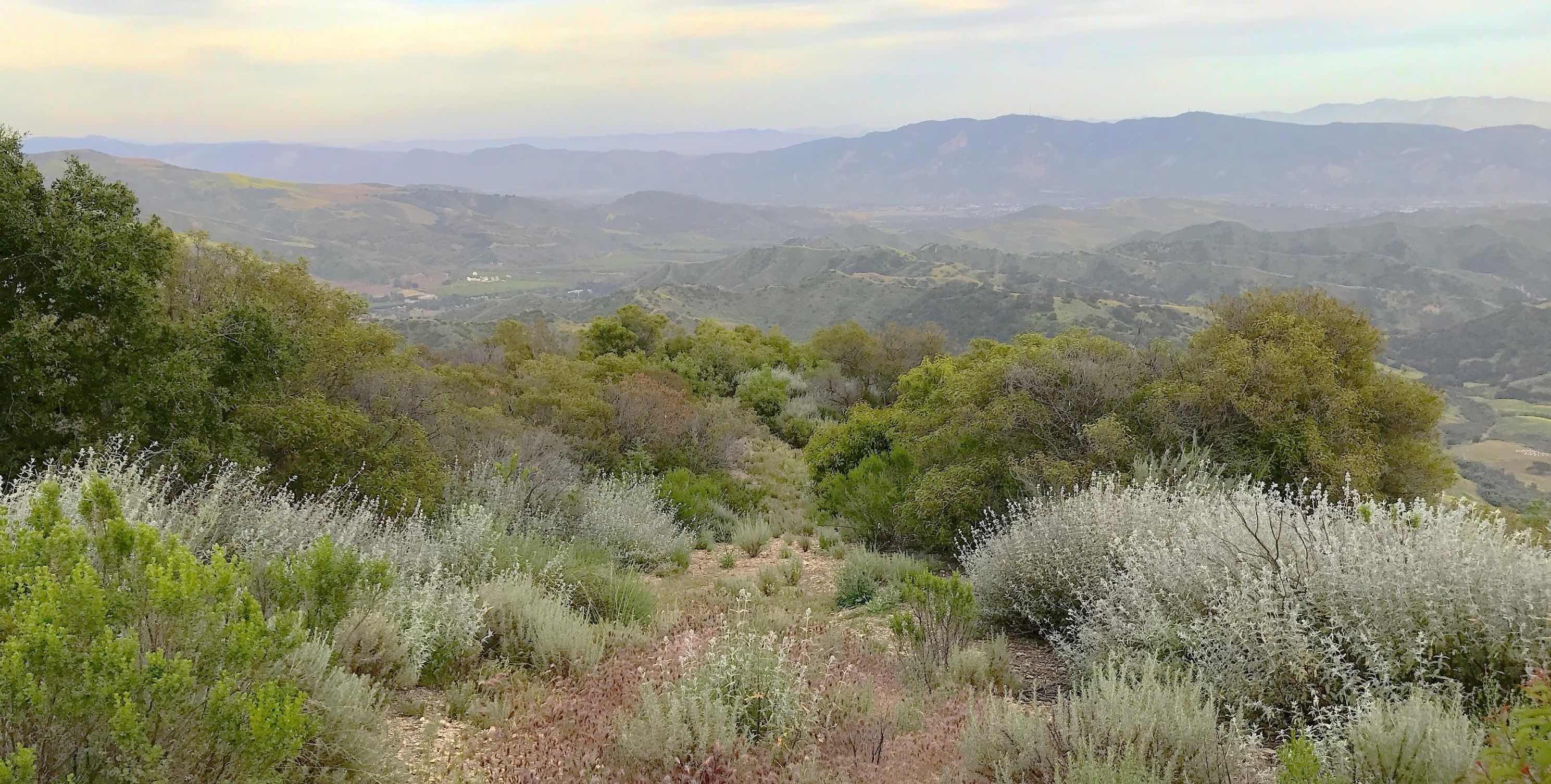  Ojai chapparel, journal of wild culture ©2021
