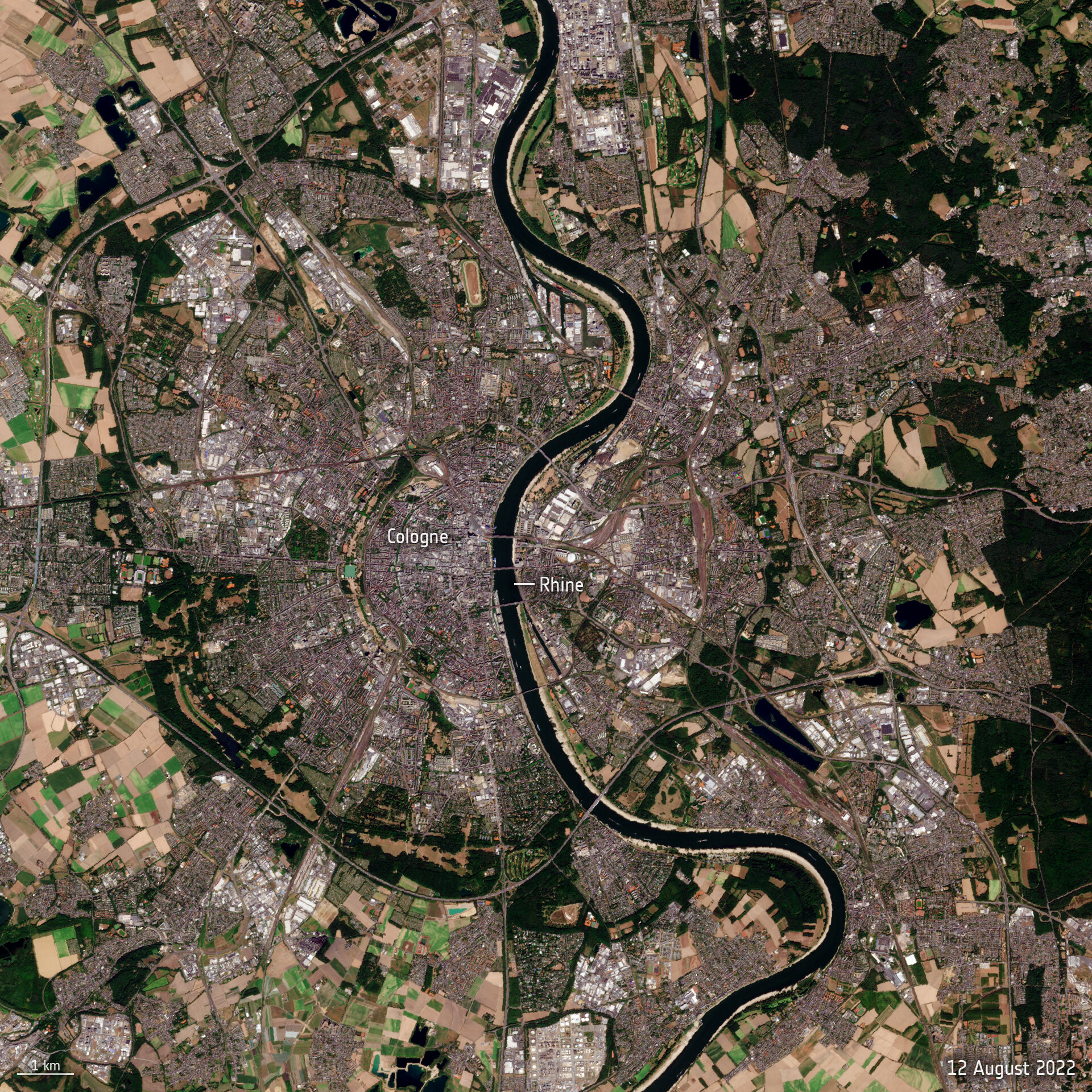  Rhine_river_runs_dry_pillars.jpg 