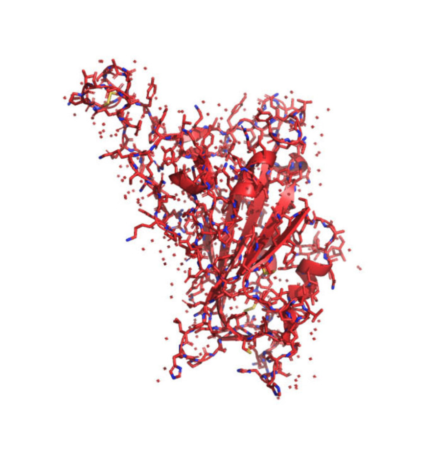 SARS-CoV-2’s receptor binding domain, journal of wild culture ©2020.png