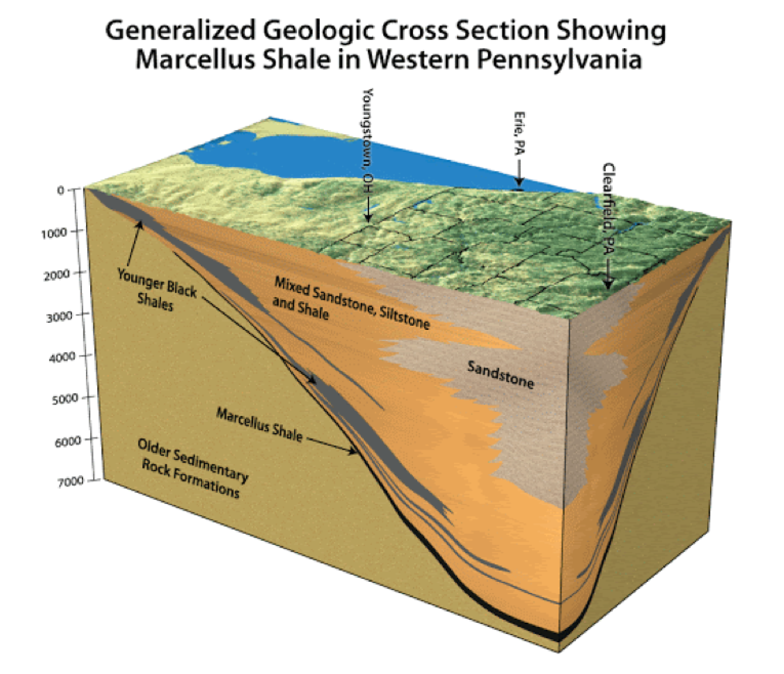 Marcellus formation, journal of wild culture, ©2020