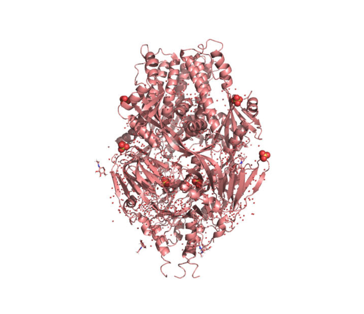 Influenza hemagglutinin, journal of wild culture, ©2020