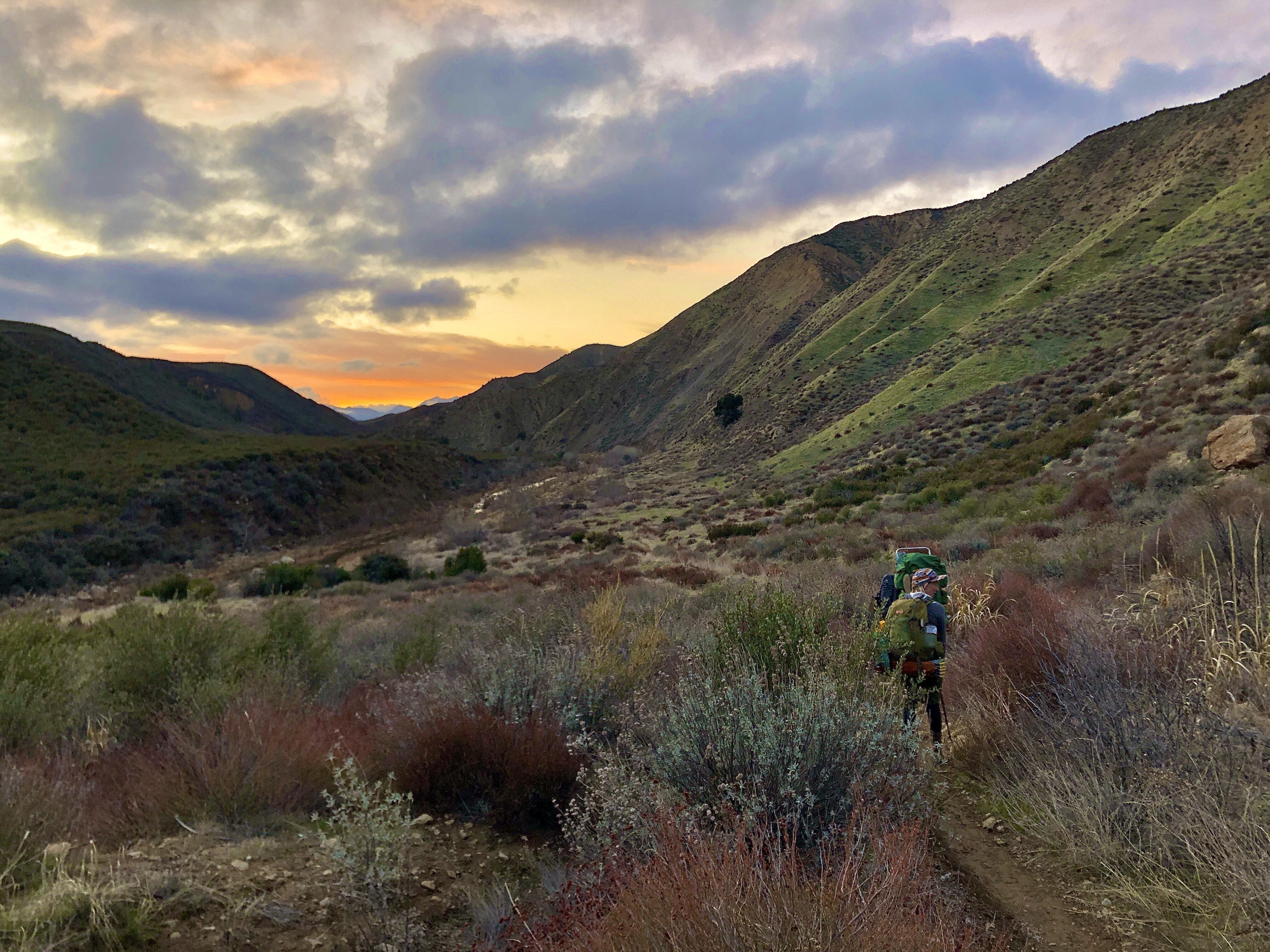 Sesque Wilderness, journal of wild culture, ©2021.jpg