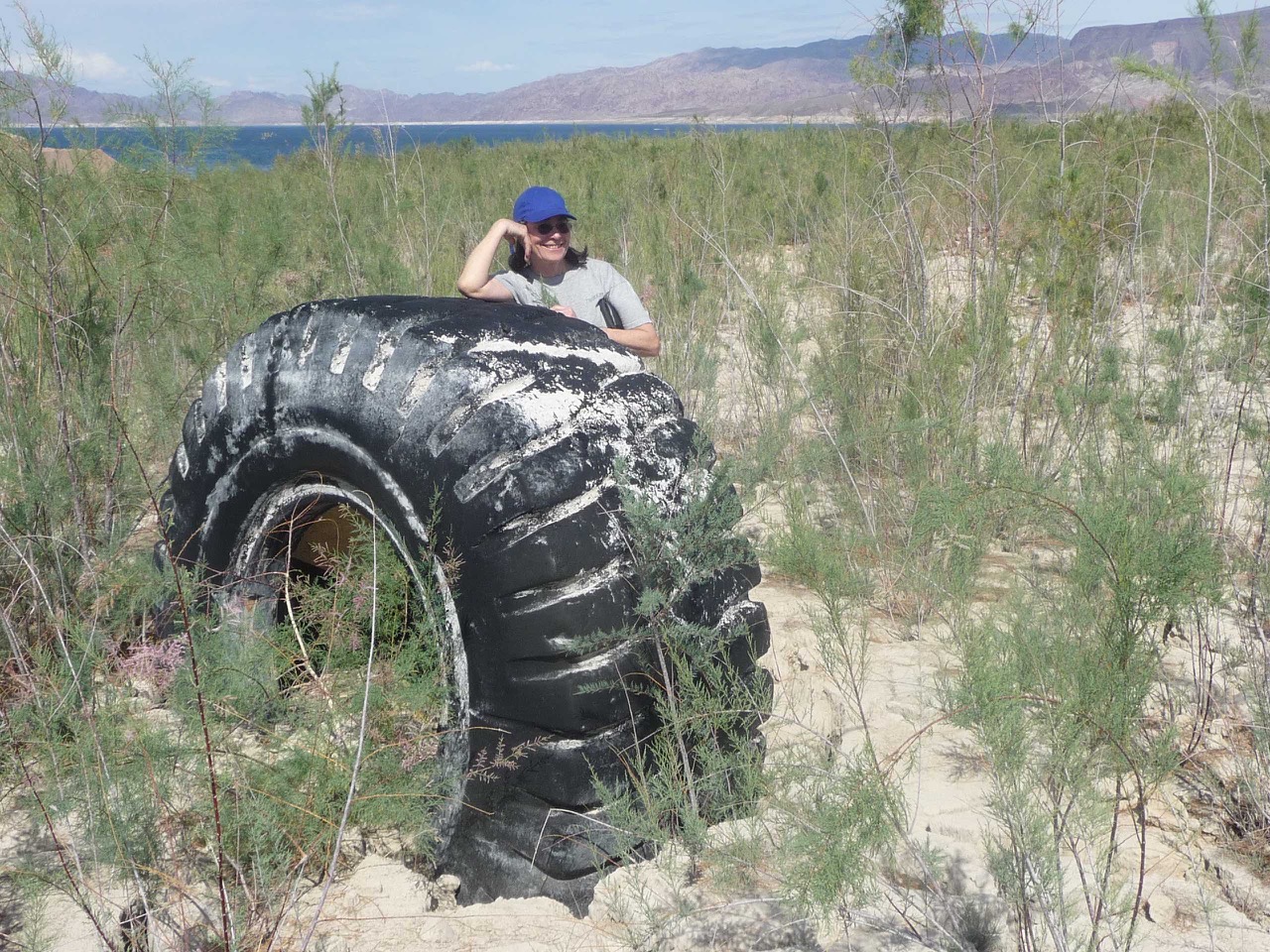 Stephanie Mills writer with tire
