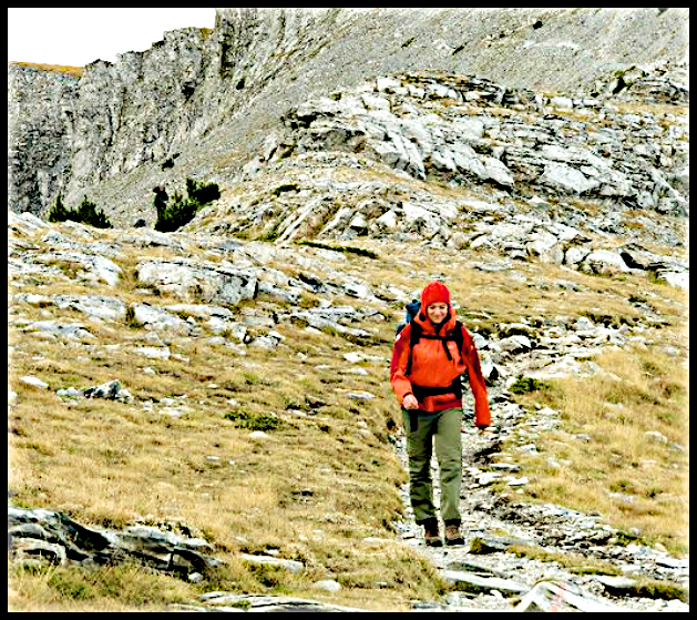 Valerie Trouet collecting cores, journal of wild culture, ©2020