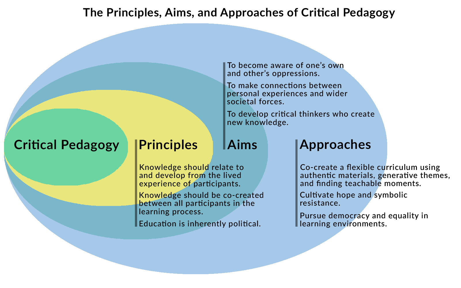 Freire  critical-pedagogy chart_journal of wild culture ©2024