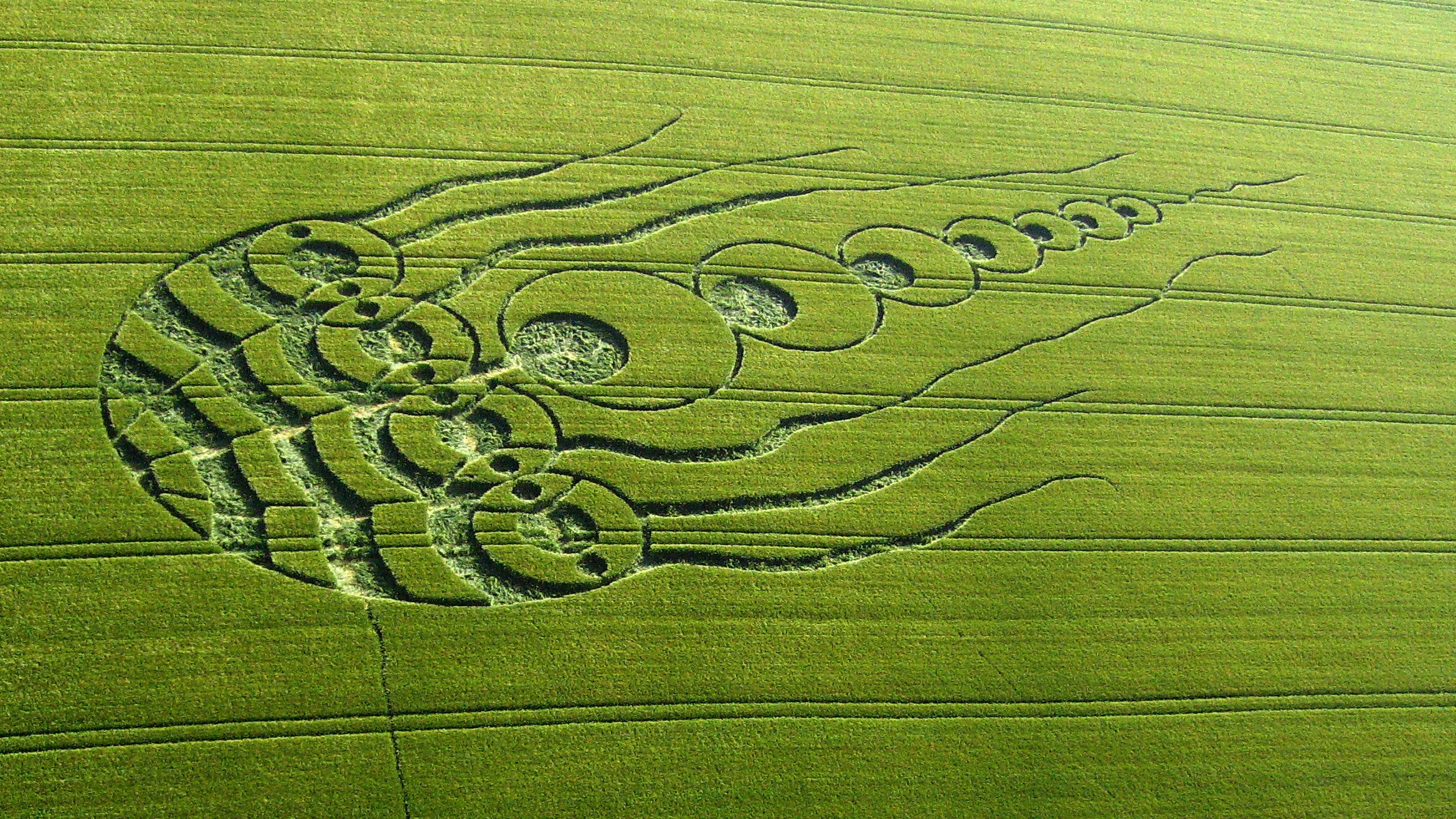 crop circles, journal of wild culture