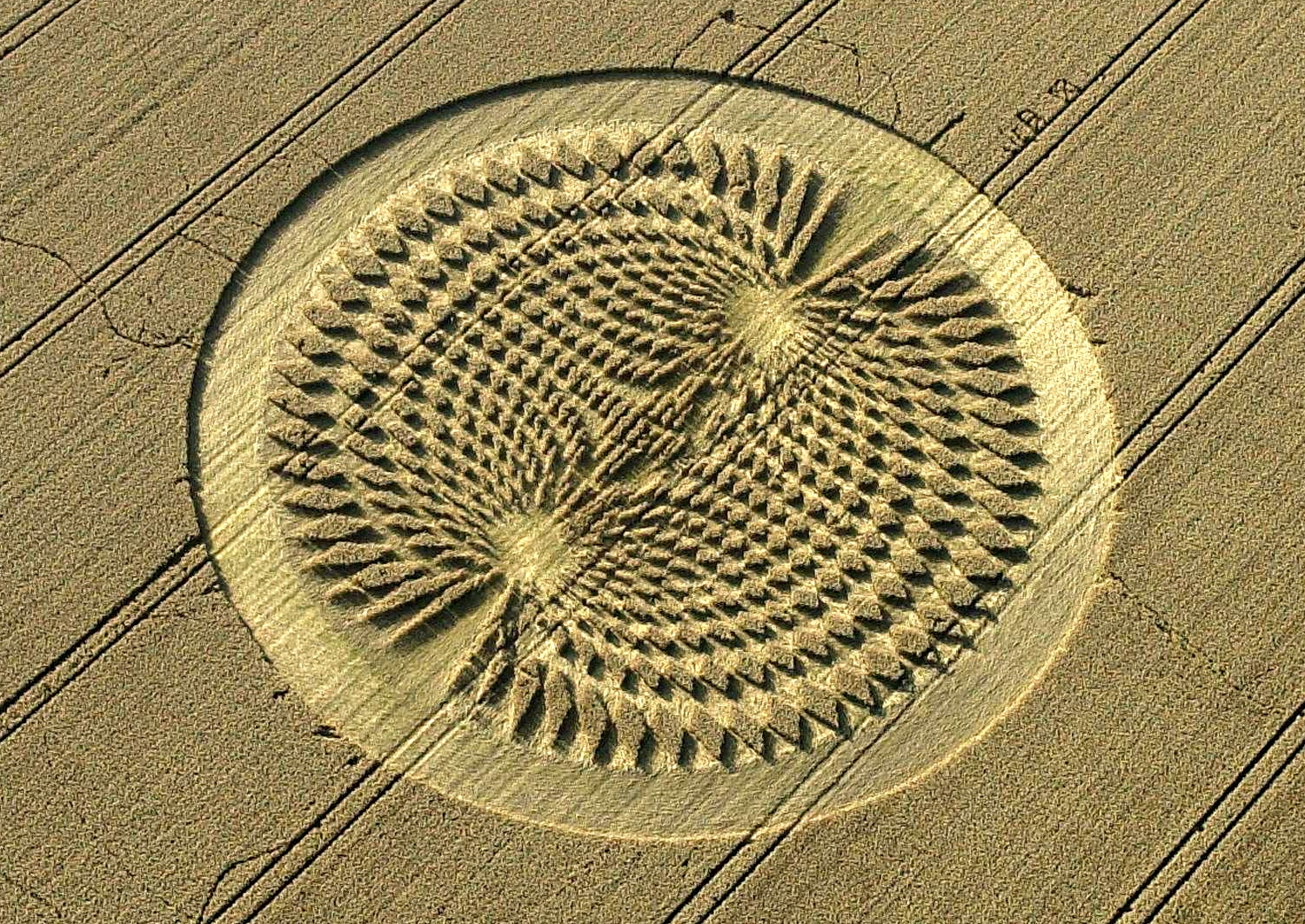 crop circles as damage, journal of wild culture ©2020