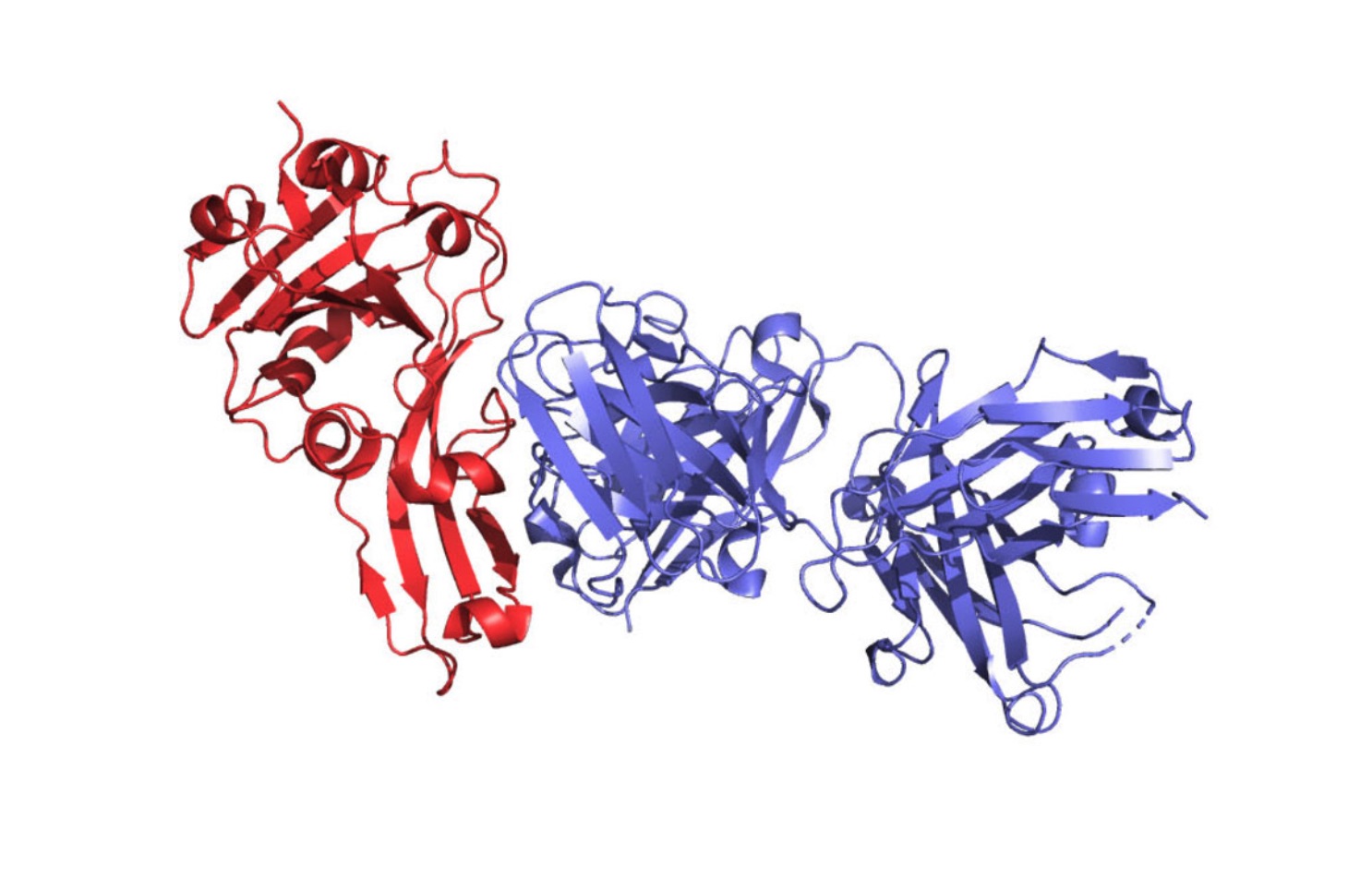 influenza hemagglutinin, journal of wild culture ©2020