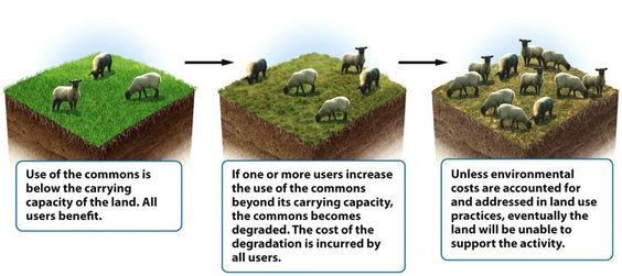 Enclosure movement explained, journal of wild culture, ©2020