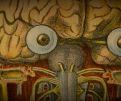 Brain with eyes