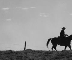 Cowboy on horseback in the open range