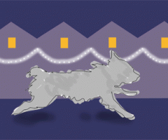 Dog running at Christmas