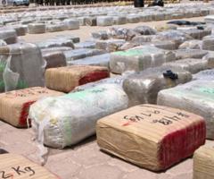  Drug loot in police yard, journal of wild culture ©2022