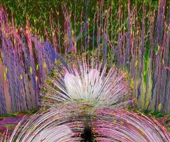Fish Poison Tree Effect, Rick Simon, journal of wild culture, ©2021.jpg