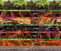  Lasagna garden, journal of wild culture