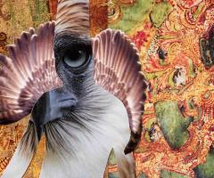  Moving Spirit Series, David Young, journal of wild culture, ©2018