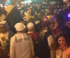 NYC parade 2013, journal of wild culture, ©2020