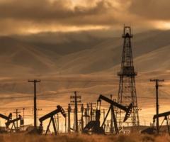 oil fields_journal of wild cultulre ©2023