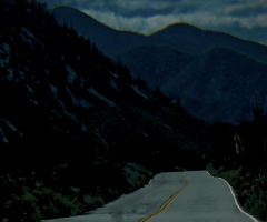 On Moving, journal of wild culture, ©2020