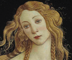 Venus, Botticelli, Journal of Wild Culture, ©2016