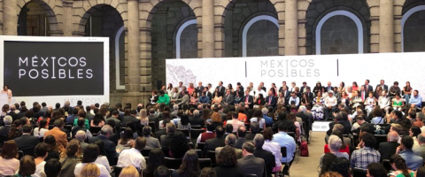 Méxicos Posibles, journal of wild culture, 2019