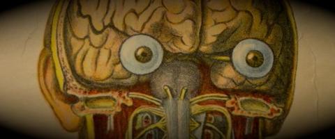 Brain with eyes