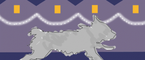 Dog running at Christmas