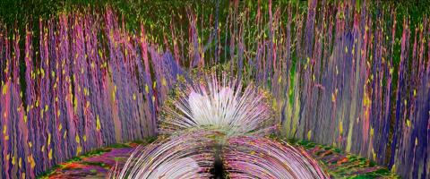 Fish Poison Tree Effect, Rick Simon, journal of wild culture, ©2021.jpg