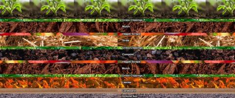  Lasagna garden, journal of wild culture