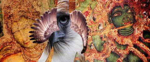  Moving Spirit Series, David Young, journal of wild culture, ©2018