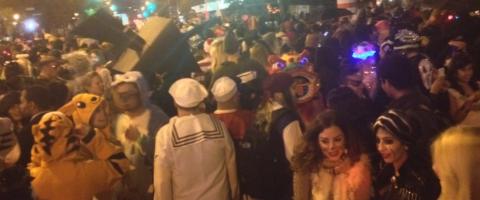 NYC parade 2013, journal of wild culture, ©2020