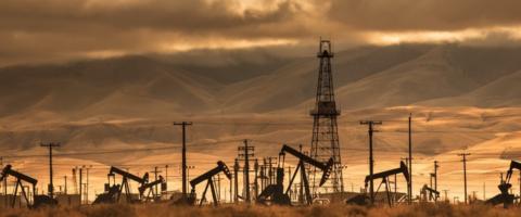 oil fields_journal of wild cultulre ©2023