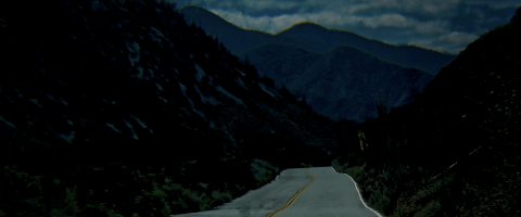 On Moving, journal of wild culture, ©2020