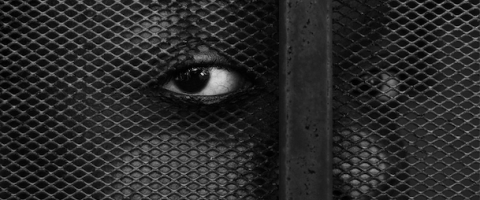 Black face behind fence, Gioncarlo Valentine, journal of wild culture