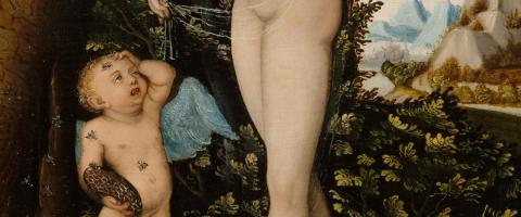 Venus with Cupid Stung by a Bee, Wild Culture, ©2015